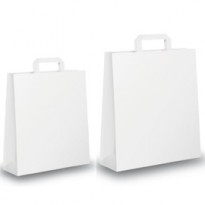 BLISTER 25 SHOPPERS 22X10X29CM BIANCO NEUTRO PIATTINA 031335