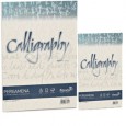 Carta CALLIGRAPHY PERGAMENA 90gr A4 50fg perla 10 FAVINI A694204