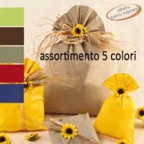 100 BUSTE REGALO IN PPL MAT A everyday classic 25x40cm 5 colori classici UD805PRR 25X40