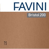 Conf.10 cartoncino Bristol Color 200gr 100x70cm marrone 75 Favini A3580A1
