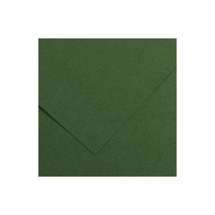 Foglio COLORLINE 70x100 cm 220 gr. 31 Verde abete 200041217 - Conf da 25 pz.