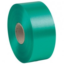 Nastro liscio 6800 50mmx100mt colore verde bandiera 09 Brizzolari 00366309