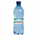 Acqua frizzante bottiglia PET 100 riciclabile 500ml Levissima 12456720 - Conf da 24 pz.