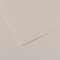 Foglio MI-TEINTES A4 cm 160 gr. 120 grigio perla C31032S009 - Conf da 25 pz.