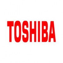 Toshiba Vaschetta Recupero Toner per E-Studio338CS 6B000000945