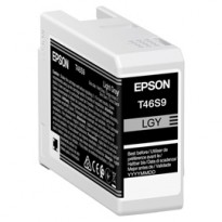 Epson Cartuccia Grigio UltraChrome Pro 10 ink 25ml C13T46S900