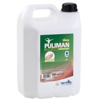 Sapone liquido Puliman Ecolabel tanica 5L Nettuno 00879