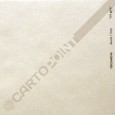 Carta Cartopoint - PERGAMENA AVORIO formato A4 - gr. 160 (conf.100)