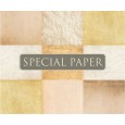 SPECIAL PAPER Carta SKIN AVORIO A4 - cm. 21x29,7 110 gr/mq (scatola da 100 fogli )