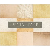 SPECIAL PAPER Carta PERGAMENA BIANCO A4 - cm. 21x29,7 110 gr/mq (scatola da 100 fogli)