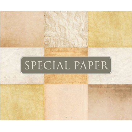 SPECIAL PAPER Carta TINTORETTO AVORIO A4 - cm. 21x29,7 200 gr/mq (scatola da 50 fogli)