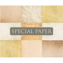 SPECIAL PAPER Carta TINTORETTO BIANCO A3 - cm. 29,7x42 200 gr/mq (busta da 50 fogli)