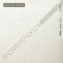 SPECIAL PAPER Carta SKIN AVORIO A4 - cm. 21x29,7 190 gr/mq (scatola da 50 fogli )