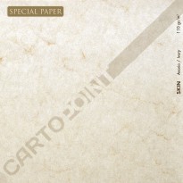 SPECIAL PAPER Carta SKIN AVORIO A3 - cm. 29,7x42 110 gr/mq (busta da 50 fogli)