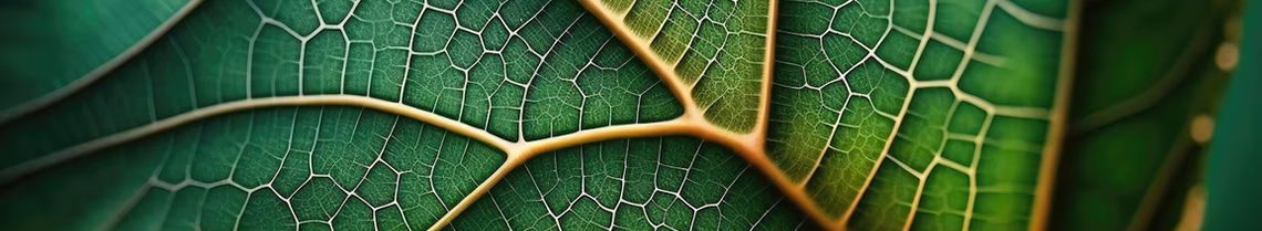 Vasto assortimento di prodotti Green